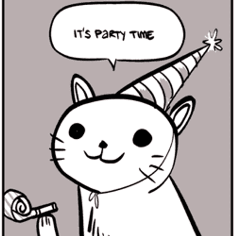 Gato tranquilo e confortável